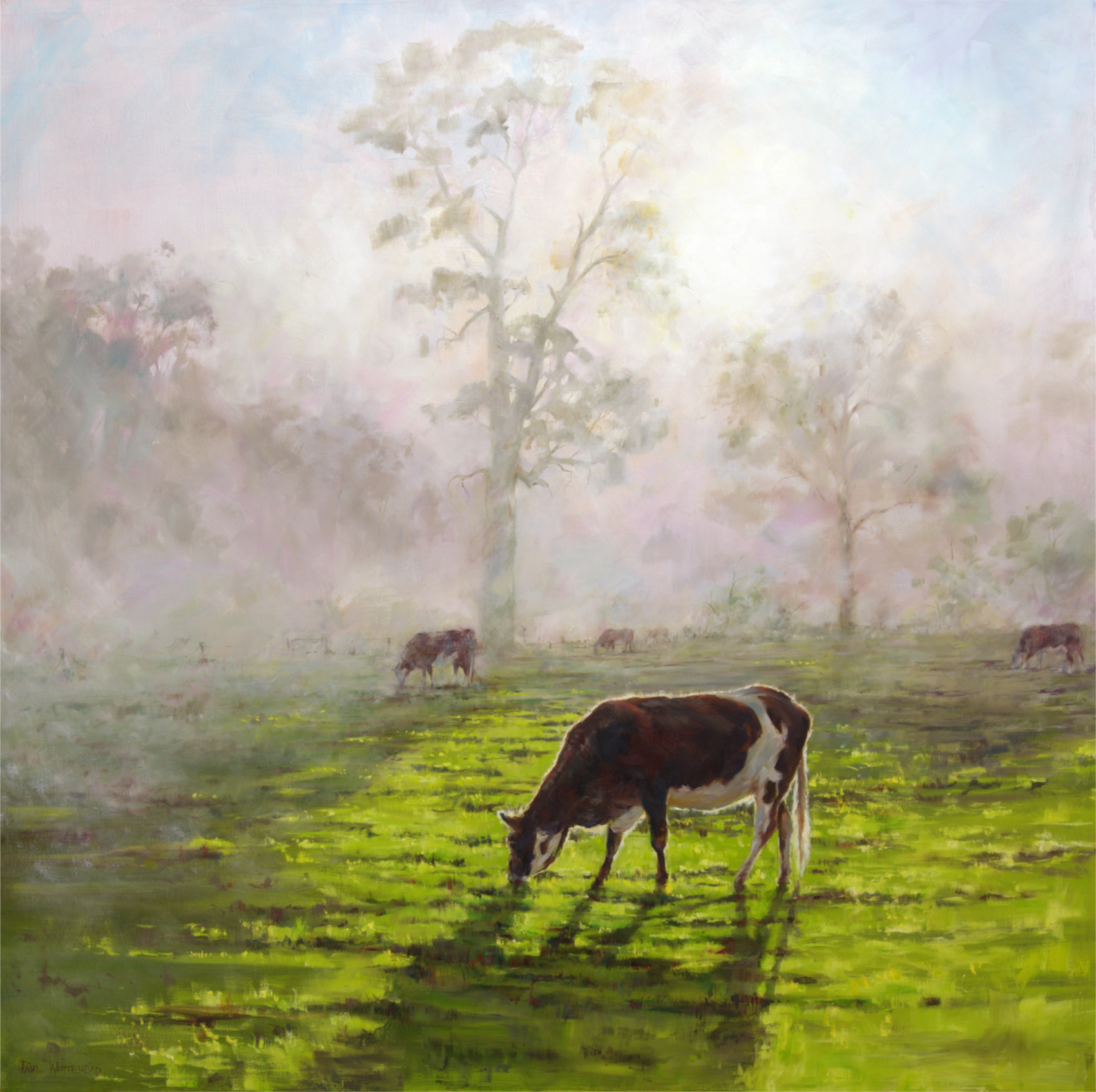  DAWN MIST RISING, HAHNDORF - South Australia - Oil - 1.5x1.5m - SOLD 