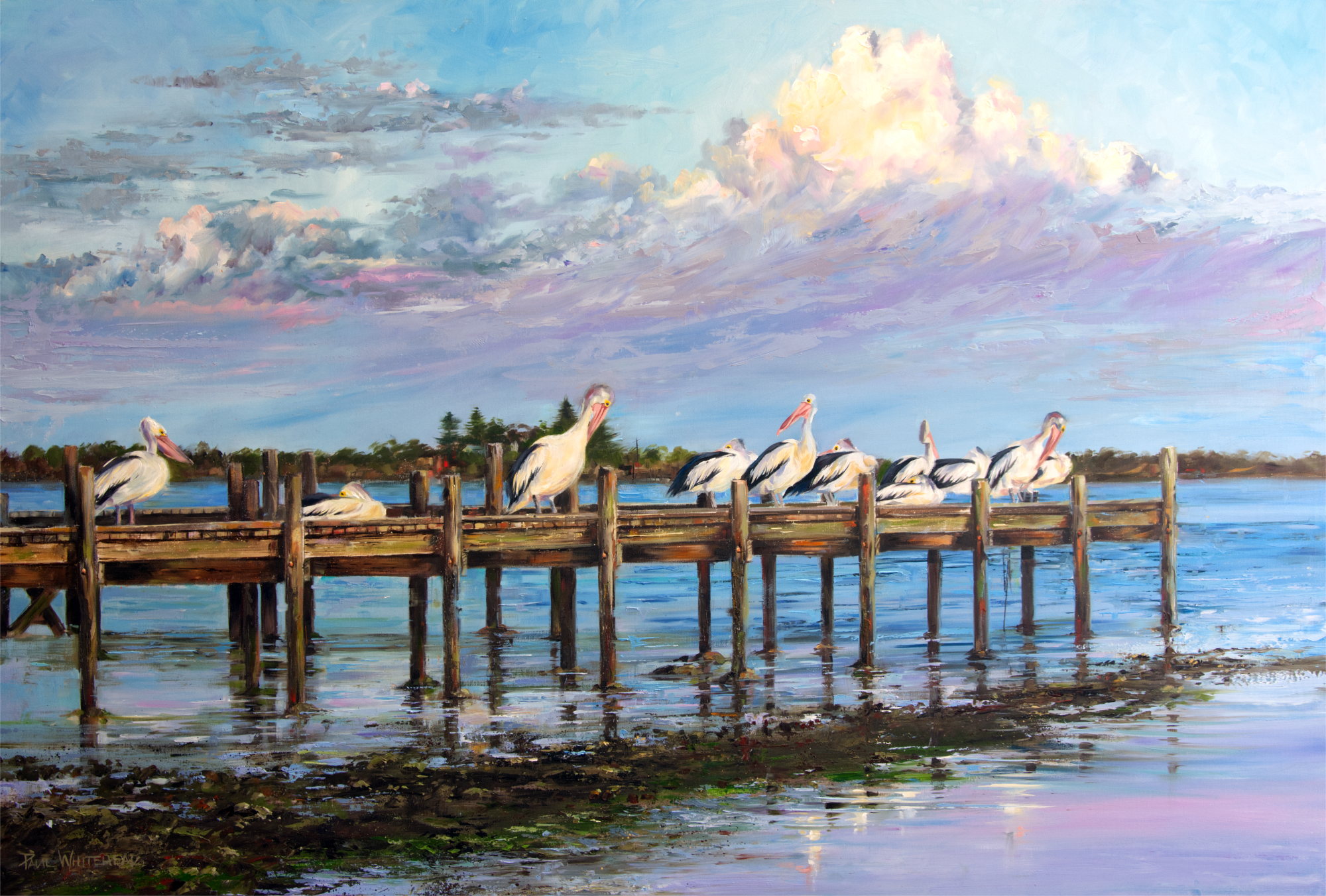  THE MEETING PLACE - Hindmarsh Island, South Australia - Oil- 85x125cm - SOLD - Foundation's Choice, Kennedy Art Prize 2021 