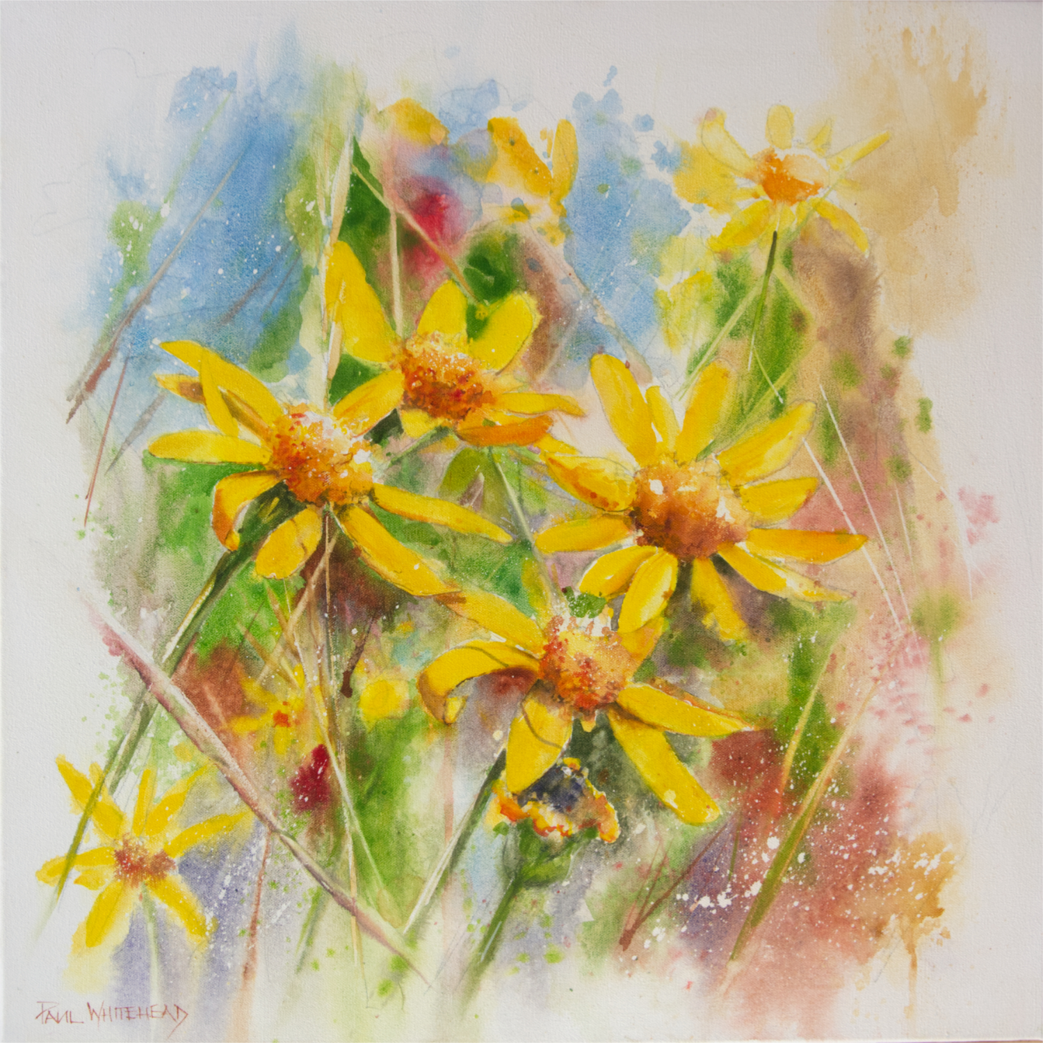  FLORAL SERIES #1 - Watercolour on canvas - 60x60cm 