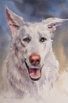  KUMA - Watercolour - 20cm x 30cm 